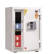SAFES (BS-T530W)