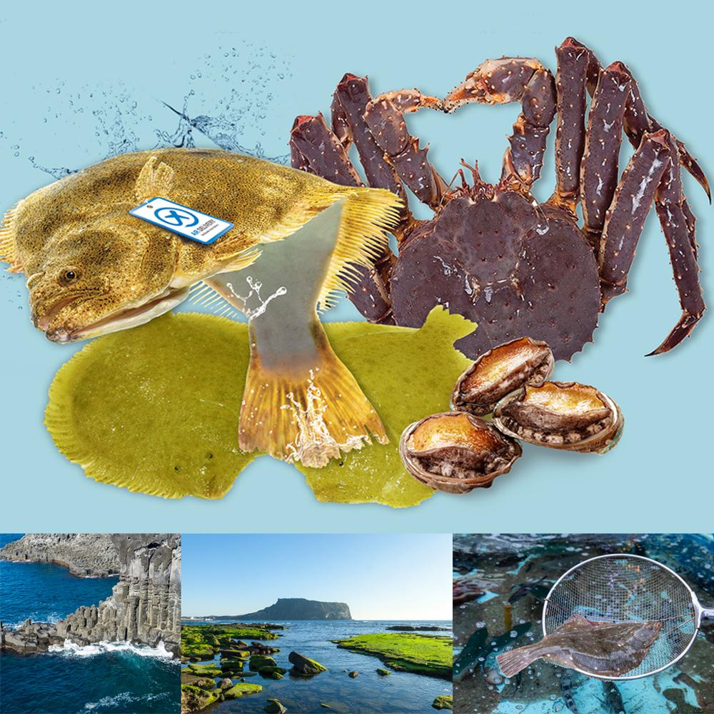 Live Golden Turbot  from Jeju, Korea